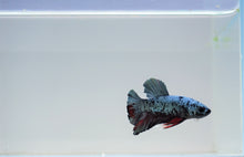 Load image into Gallery viewer, Reverse Batman Avatar HMPK
