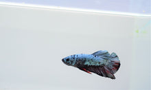 Load image into Gallery viewer, Reverse Batman Avatar HMPK
